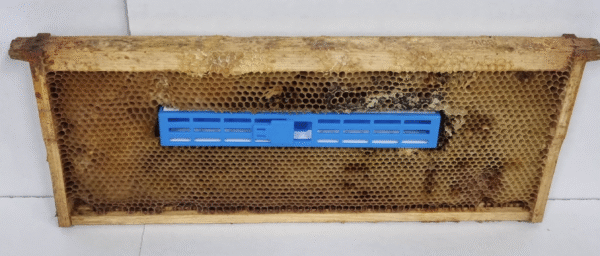 Queen Isolation Cage (240 Cells) - Image 2