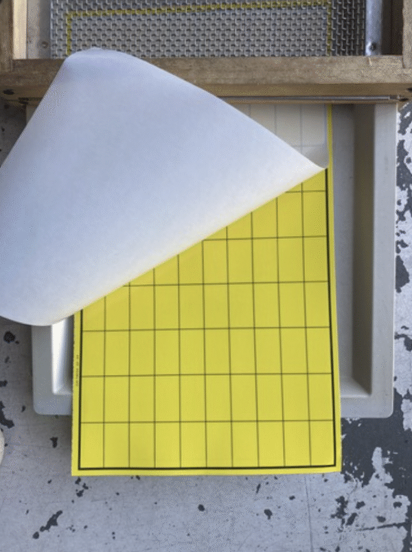 Easy-Count Sticky Mat | Sticky Board for Varroa